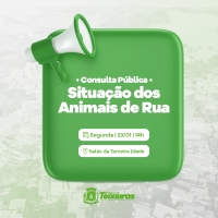 Prefeitura abre consulta pública para debater a situação dos animais de rua